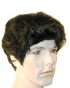 Costume wig, theatre wig, theater wig, mens costume wig, greaser wig, elvis wig, mens 50’s wig, mens 1950’s wig, pompadour wig