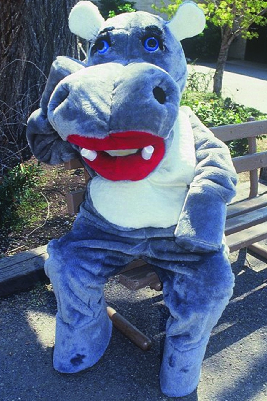 Morris Hillary Hippo Mascot Complete - MaxWigs