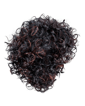Sherri Shepherd Full on Curls Wig by Sherri Shepherd NOW Heat Friendly - MaxWigs
