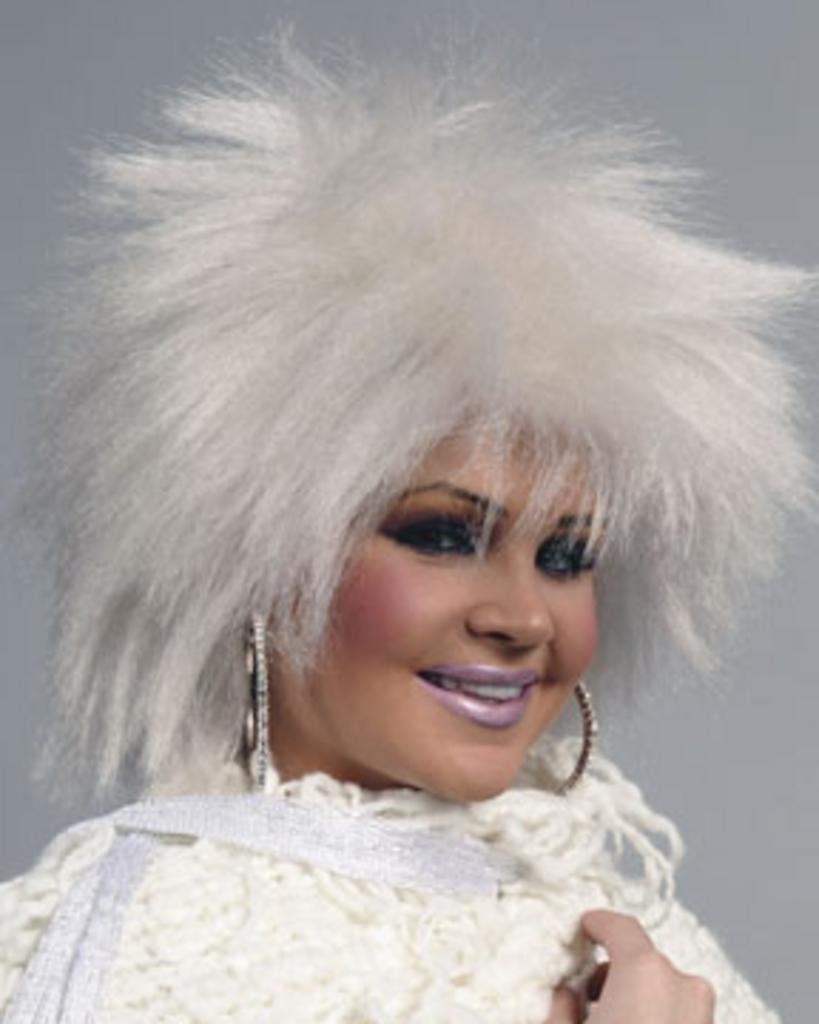 Fright Wig Punk Rock by Enigma Costume Wigs