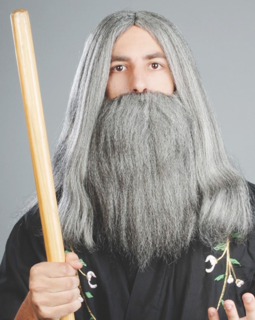 Wizard by Enigma Costume Wigs