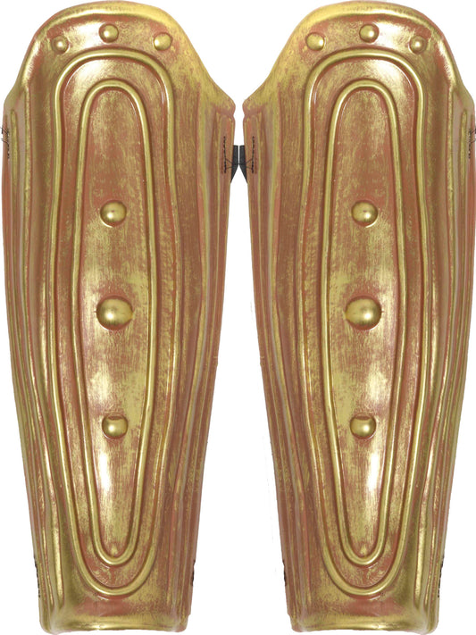 Roman Leg Armor 2 Piece Set