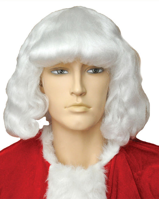 Santa Wig 004